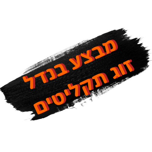 מבצע בנדל זוג תקליטים